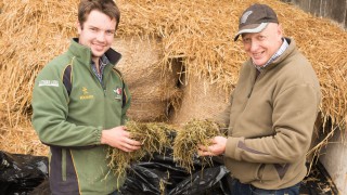 Quality over quantity: Monitor Farm to discuss strategies to improve silage