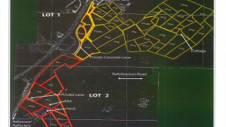 Video: 118ac holding ‘situated in a prime farming district’ for sale in lots