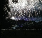 BVA advises pet owners to be prepared for distress from fireworks