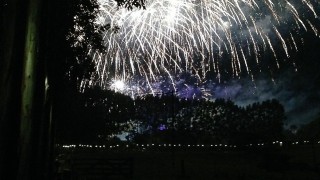 Survey seeks views of farmers’ experiences of fireworks