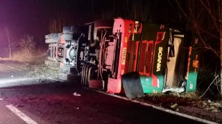 More than 200 sheep die in overturned lorry crash