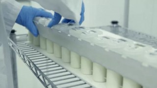 Researchers to use supercomputers to predict the TB status of dairy cows