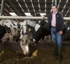 Just add water...could this simple trick improve your herd's productivity?