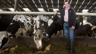 Just add water…could this simple trick improve your herd’s productivity?