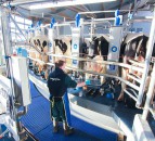 GDT publishes its 2018 report and marks 10th anniversary