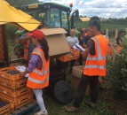 Growing champions in the next generation of fruit-pickers