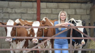 All Breeds All Britain Calf Show judges confirmed for 2019