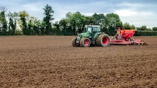 Popular cereal seed varieties in short supply