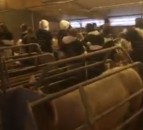 NPA weighing up legal action after 200 vegan activists storm pig farm