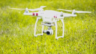 Checking and moving stock on the farm…with drones that bark