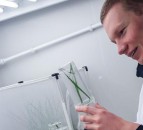 UK aphid project on the agenda of prestigious society