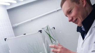 UK aphid project on the agenda of prestigious society