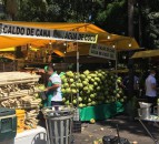 Brazilian producers race to ramp up traceability and sustainability as Brexit nears
