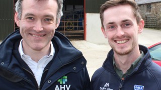 New science is enabling dairy farms to become antibiotic-free