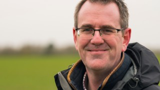 Oilseed rape crops provide challenging decisions for growers