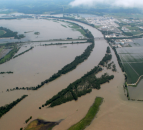 ‘As many as one million’ calves lost in Nebraska flooding