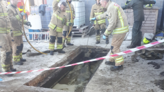 Dairy cows rescued from slurry pit in Wales