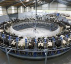 GDT: Slight increase continues positive trend