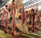 Beef boost for Canada with expansion of Japanese market access
