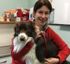 Moray vet elected as new BVA Scottish branch president