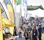Get an early BASIS point boost at Cereals