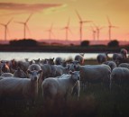 CLA joins consortium building long-term approach to environmental policymaking