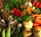OF&G welcomes recognition to support organic in SFI roll-out