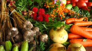 Defra data shows growth among UK organic producers