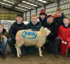 HCC to showcase £9.2 million red meat project at NSA event