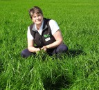 Better Grazing meetings to put multi-species swards in the spotlight
