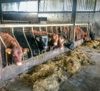 UFU calls for aid package similar to Irish deal