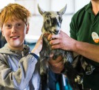 LEAF Open Farm Sunday postponed until September