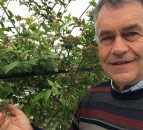 Scottish fruit farm named as third Strategic SmartHort Centre