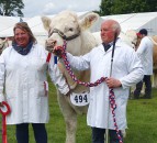 Highland Show: Veteran Charolais breeder clinches beef championship