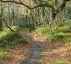 NI environment authority works with landowner to re-develop country park