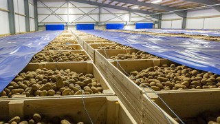 November date set for British Potato Show
