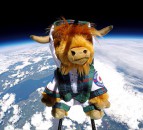WATCH: Scottish tourist board sends Highland Cow into space