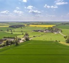 Volume of farmland marketed for sale in the UK reaches 5-year low