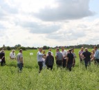 Carrot growers review trials of linuron alternatives 