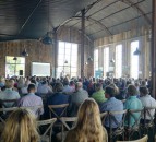 Effective incentives 'to be vital' in Government's net-zero push for farms