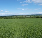 334ac at Worcestershire sees productive farmland for sale on 9 lots