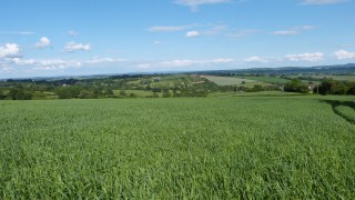 334ac at Worcestershire sees productive farmland for sale on 9 lots