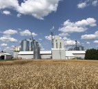 Straw in demand in Canada…price rises by 200%