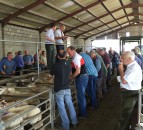 Glamorgan farmers 'left in the dark' over local mart
