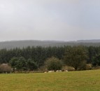 NI farming community urged to have their say on future forest plans