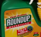 US judge cuts damages on Monsanto in Roundup cancer case