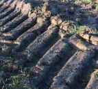 Soil compaction is a constant challenge on grassland farms