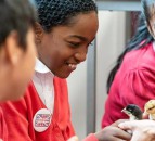 NFU transforms London school into farm