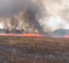 FUW to work with Welsh fire brigade on protecting land from wildfires