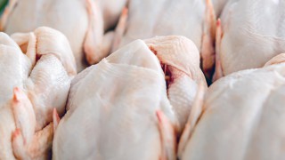 EU agrees ‘whopping quota’ of 180,000t of additional poultry in Mercosur deal